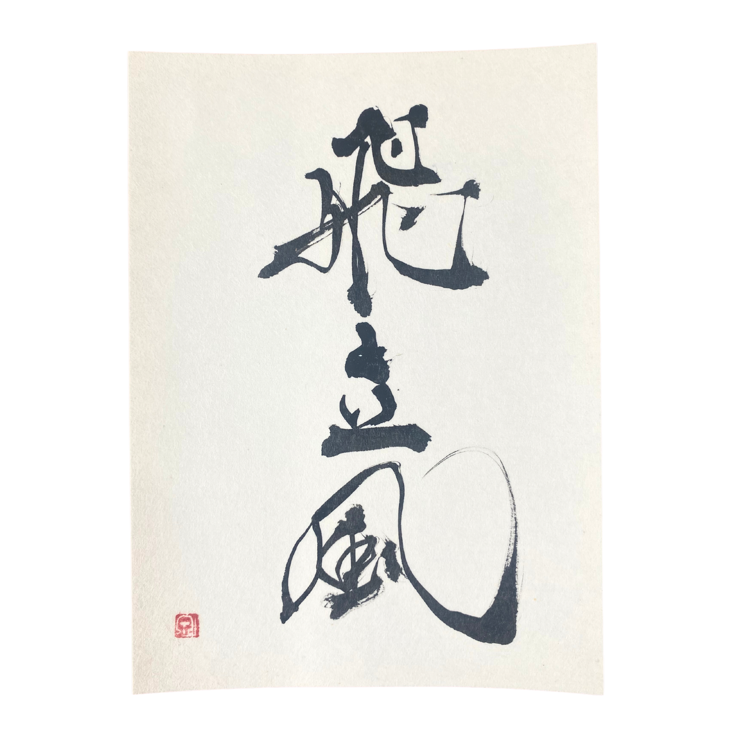 Personalized Japanese Name Calligraphy | Hikari Script