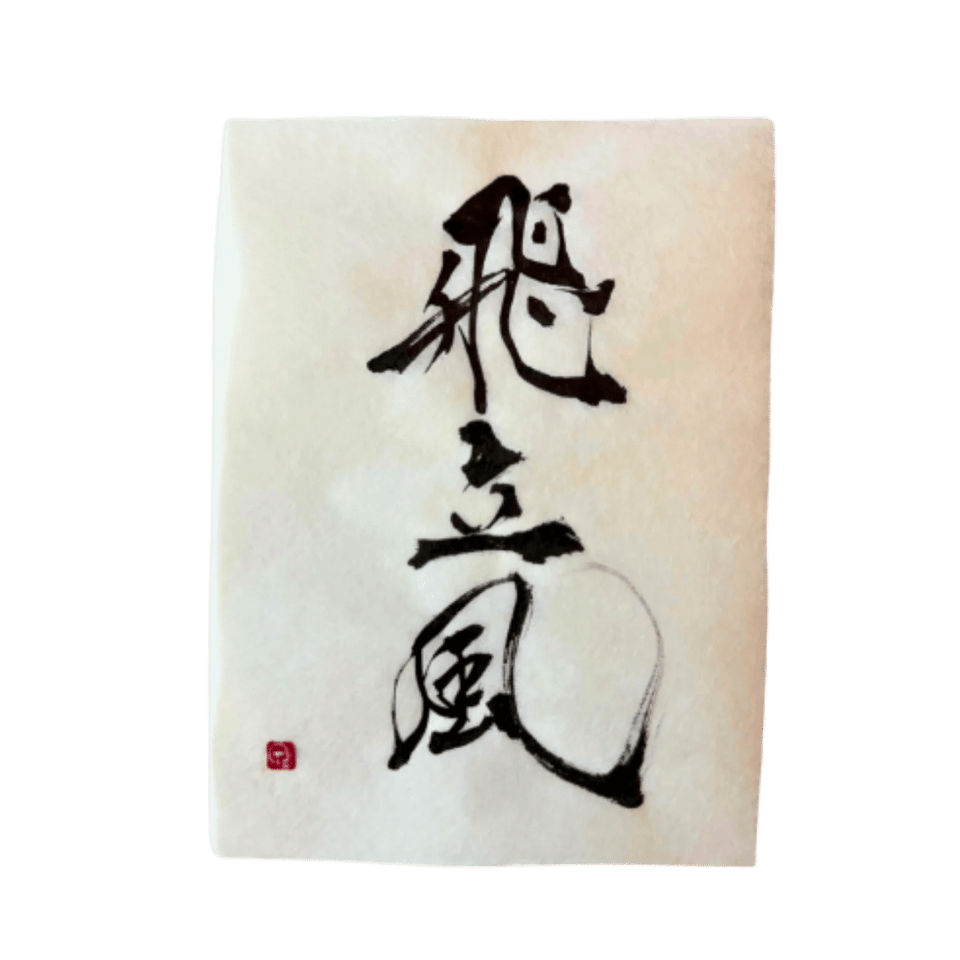 Hikari Script（光筆）-結びの書-